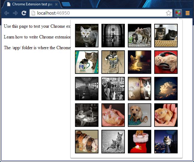 Chrome Extension Page with app